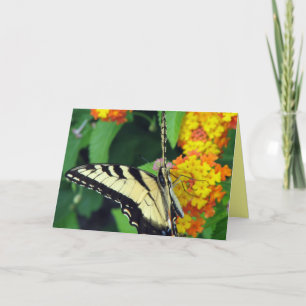 Tarjeta Mariposa