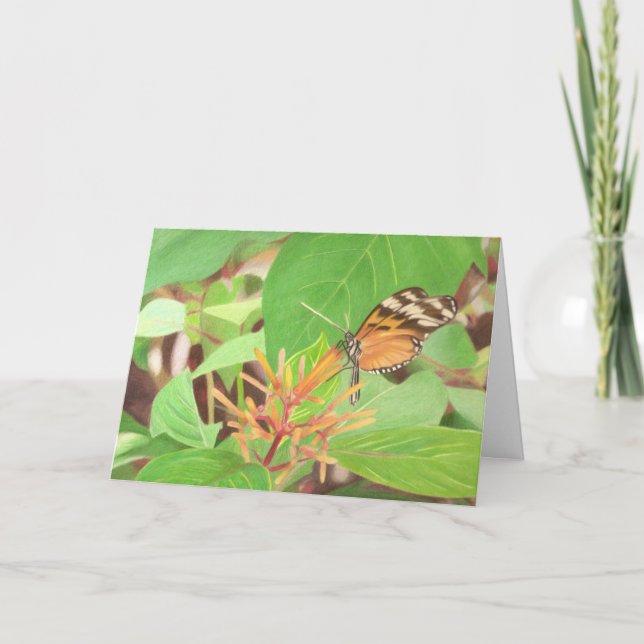 Tarjeta Mariposa (Anverso)