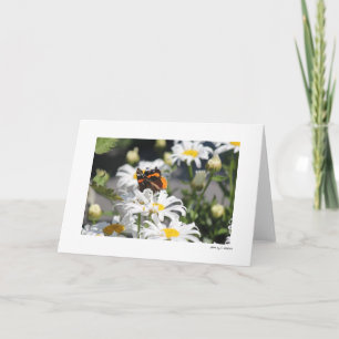 Tarjeta Mariposa