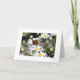 Tarjeta Mariposa