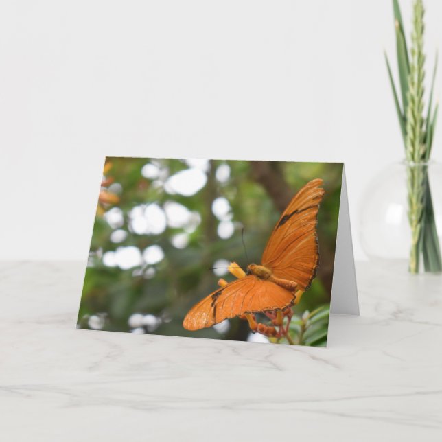 Tarjeta Mariposa (Anverso)