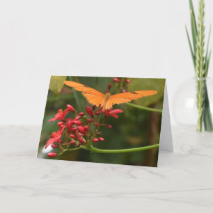 Tarjeta Mariposa