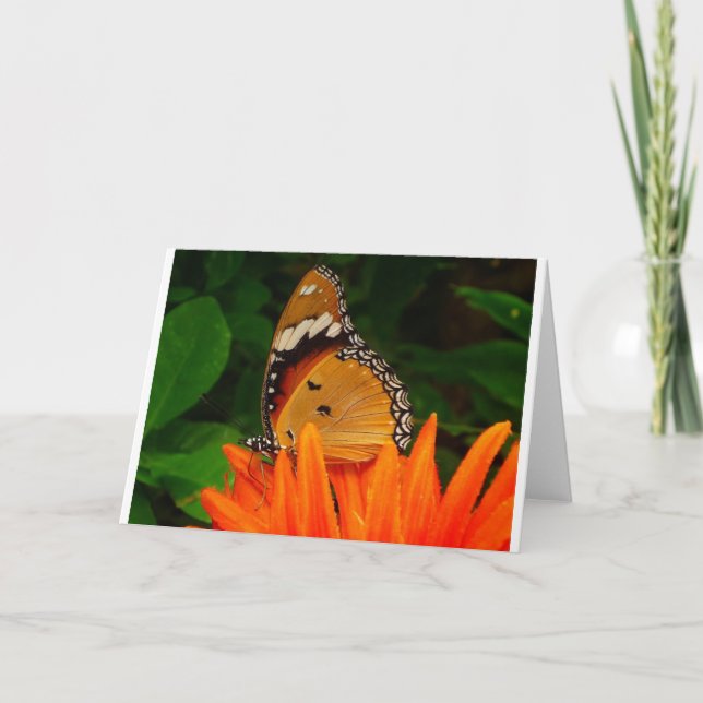 Tarjeta Mariposa (Anverso)