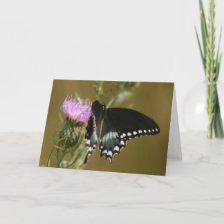 Tarjeta Mariposa