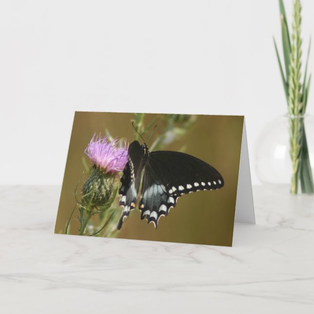 Tarjeta Mariposa (Anverso)