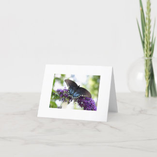 Tarjeta Mariposa