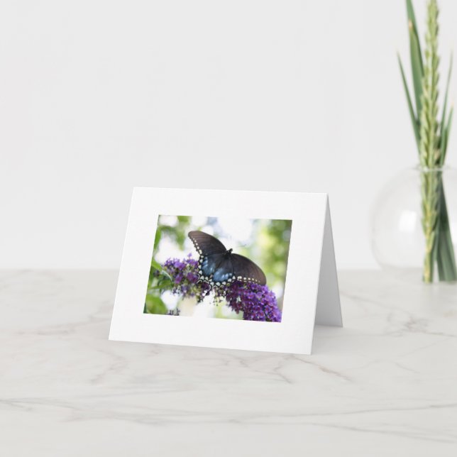 Tarjeta Mariposa (Anverso)