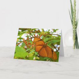 Tarjeta Mariposa
