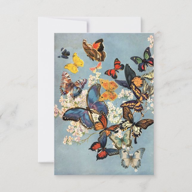 Tarjeta Mariposa (Anverso)