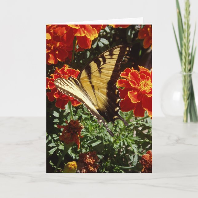 Tarjeta "mariposa amarilla" (Anverso)