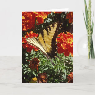 Tarjeta "mariposa amarilla"