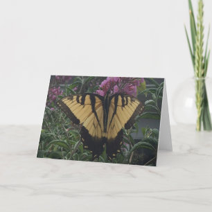 Tarjeta Mariposa amarilla y negra personalizada