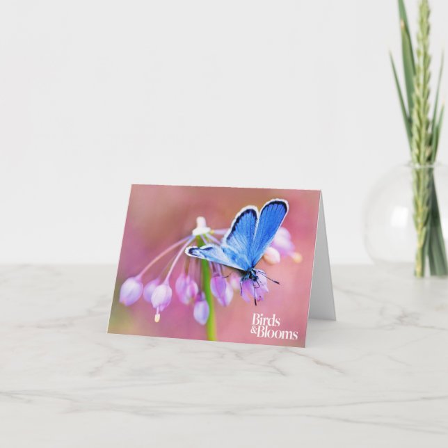 Tarjeta Mariposa azul (Anverso)