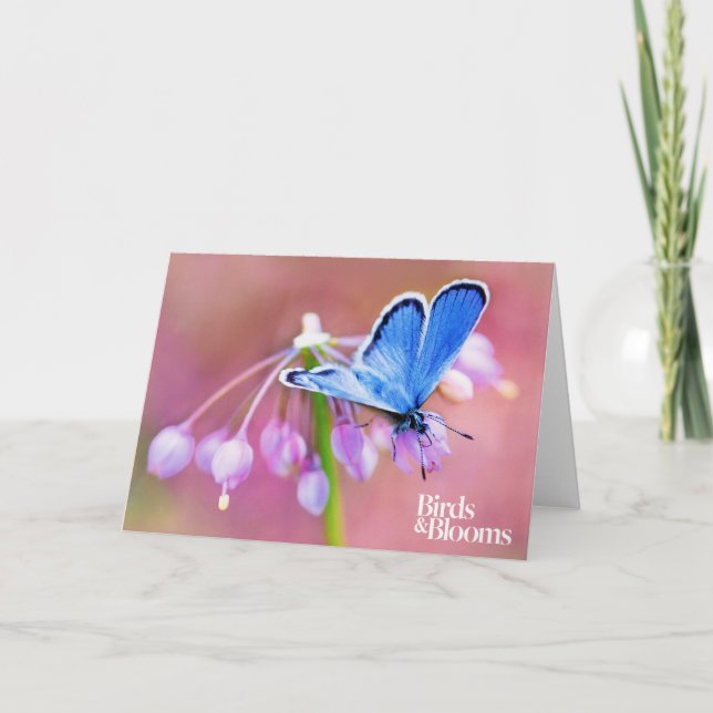 Tarjeta Mariposa azul (Anverso)