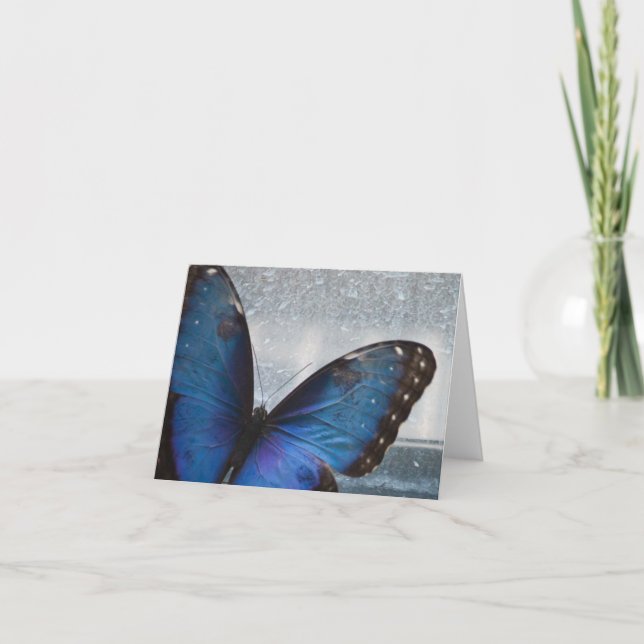 Tarjeta Mariposa azul (Anverso)