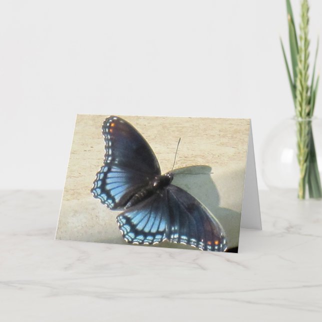 Tarjeta Mariposa azul (Anverso)