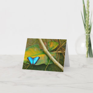 TARJETA MARIPOSA AZUL NOTECARD DE MORPHO