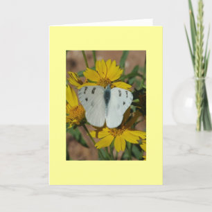 TARJETA MARIPOSA BLANCA
