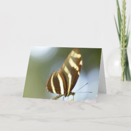 Tarjeta "Mariposa borrosa".Tarjeta de felicitación