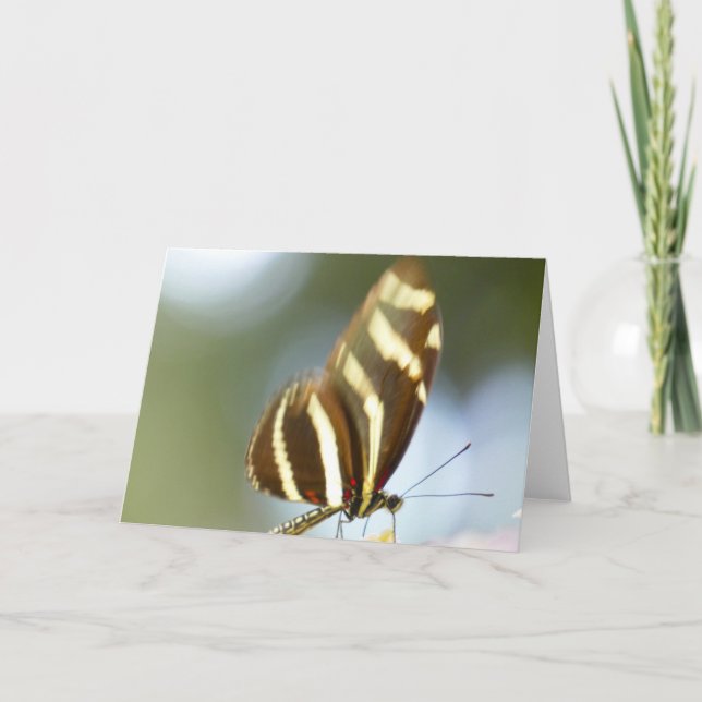 Tarjeta "Mariposa borrosa".Tarjeta de felicitación (Anverso)