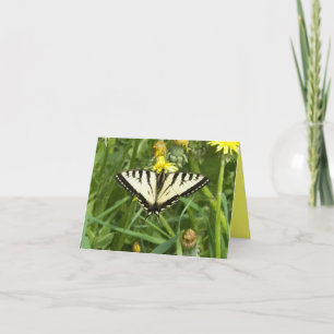 Tarjeta Mariposa canadiense Notecard de Swallowtail del