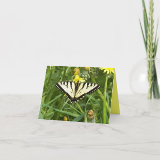 Tarjeta Mariposa canadiense Notecard de Swallowtail del