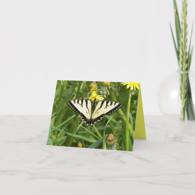 Tarjeta Mariposa canadiense Notecard de Swallowtail del (Anverso)