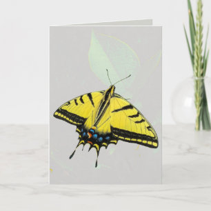 Tarjeta Mariposa cola de golondrina tigre occidental y hoj