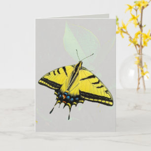 Tarjeta Mariposa cola de golondrina tigre occidental y hoj
