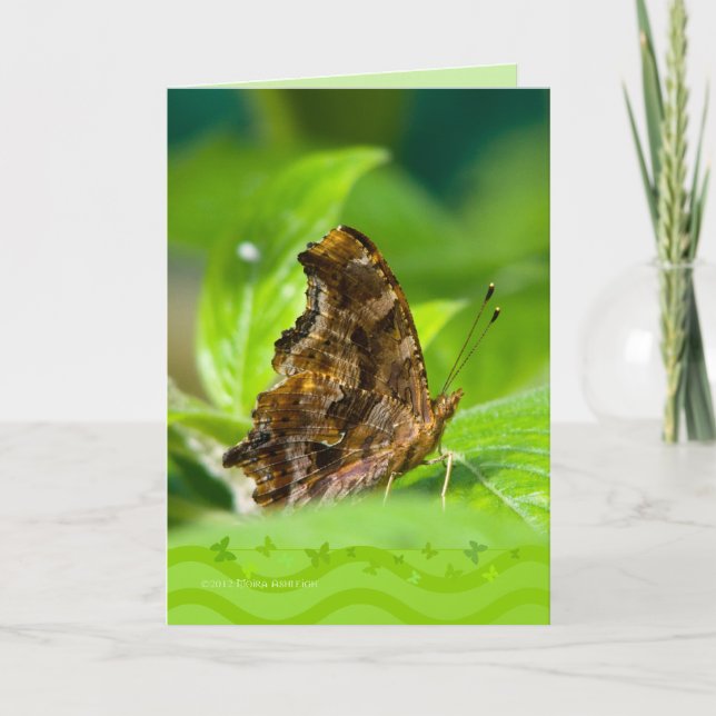 Tarjeta Mariposa Comma (Anverso)