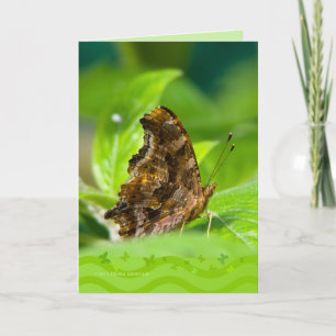 Tarjeta Mariposa Comma