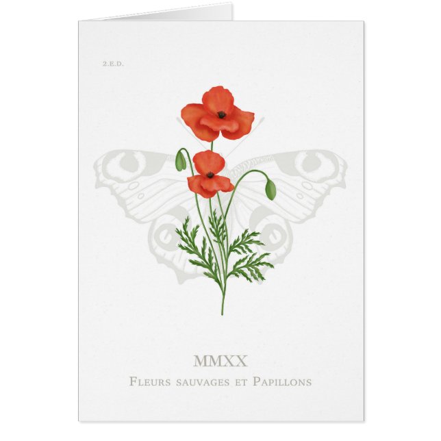 Tarjeta mariposa de amapola y pavo real (Frente)