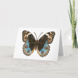 Tarjeta Mariposa de Blue Pansy