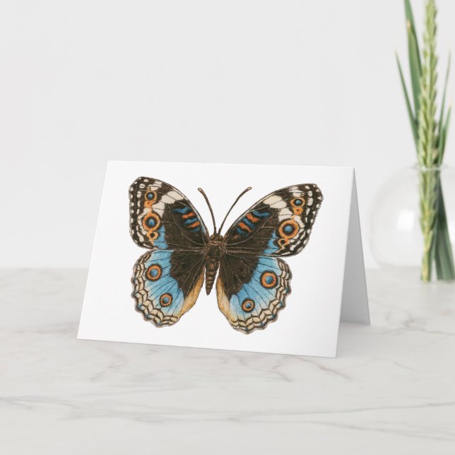 Tarjeta Mariposa de Blue Pansy (Anverso)