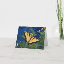 Tarjeta Mariposa de cerda amarilla y negra en una