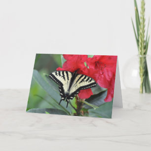 Tarjeta Mariposa de cola Swalloween con alas abiertas