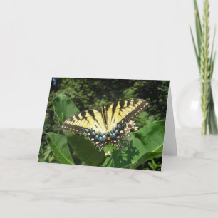 Tarjeta Mariposa de cola tragada de tigre