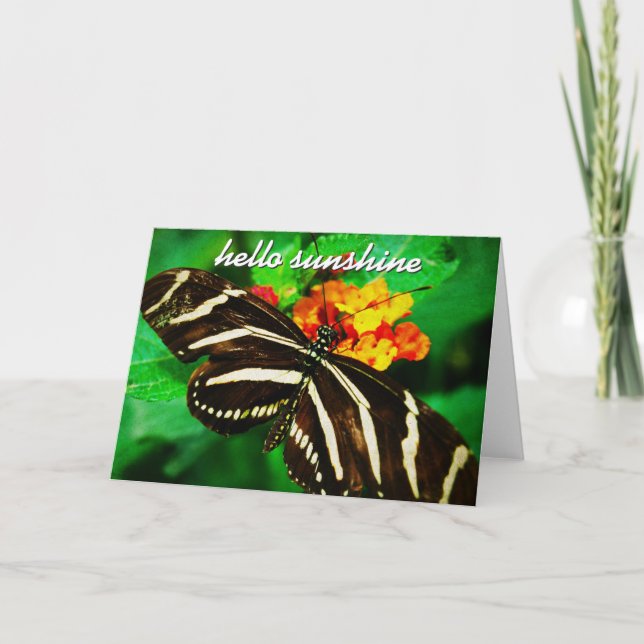 Tarjeta Mariposa de franja blanca negra Hello Sunshine Scr (Anverso)