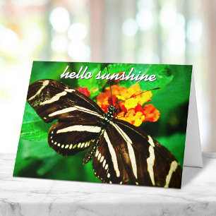 Tarjeta Mariposa de franja blanca negra Hello Sunshine Scr