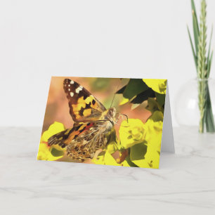 Tarjeta Mariposa de Lady pintada en Myrtle Spurge