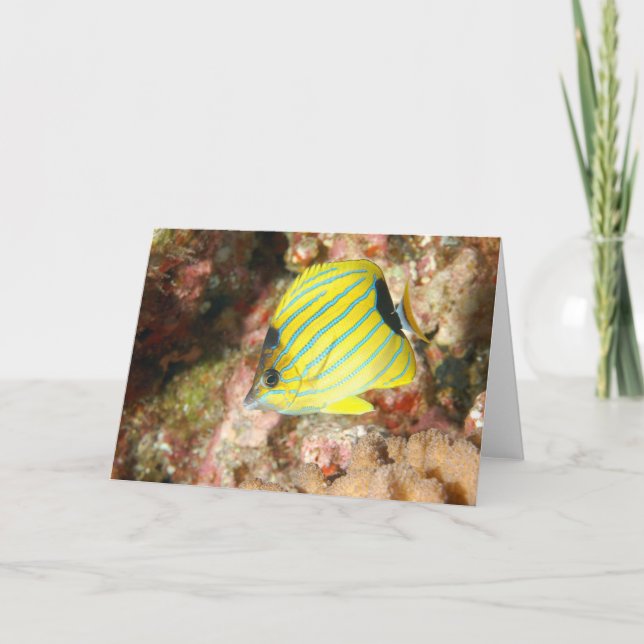 Tarjeta Mariposa de lino azul (Anverso)