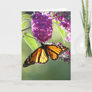 Tarjeta Mariposa de monarca