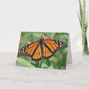 Tarjeta Mariposa de monarca