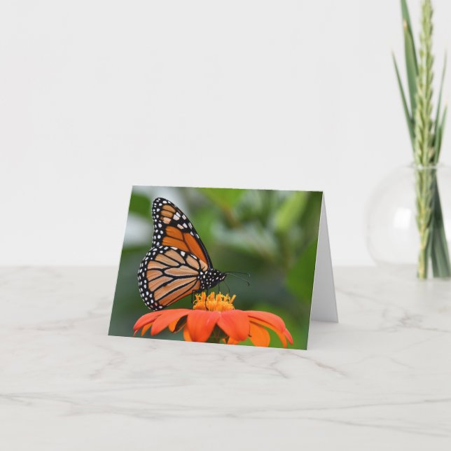 Tarjeta Mariposa de monarca en la flor (Anverso)