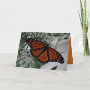 Tarjeta Mariposa de monarca en Sedum