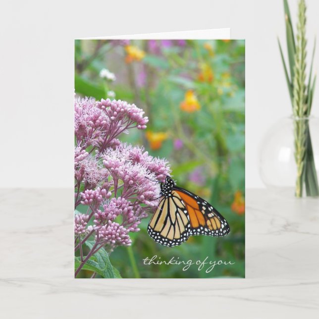 Tarjeta Mariposa de monarca en wildflower (Anverso)