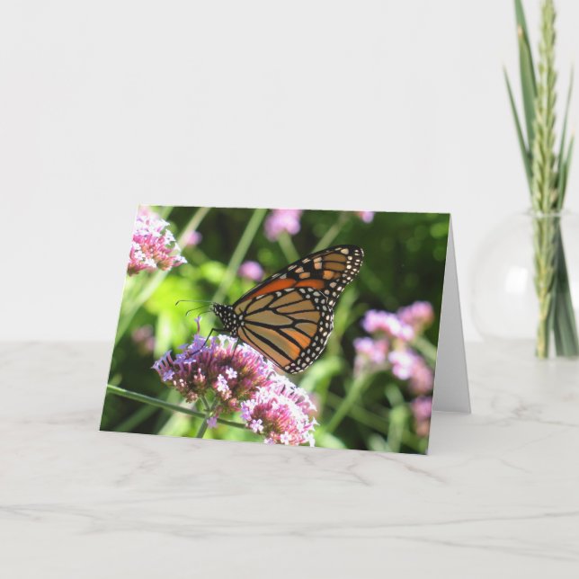 Tarjeta Mariposa de monarca Notecard (Anverso)