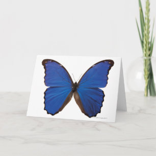 Tarjeta Mariposa de Nestira Marpho