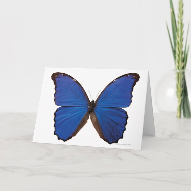 Tarjeta Mariposa de Nestira Marpho (Anverso)