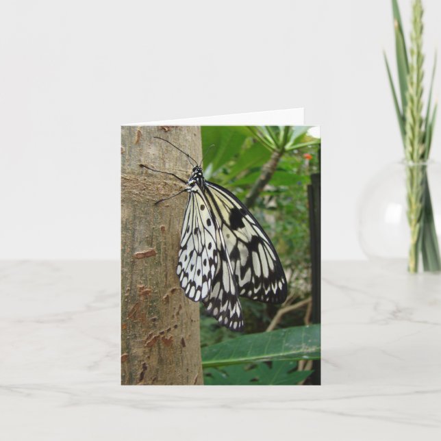 Tarjeta Mariposa de papel de arroz Notecard (Anverso)